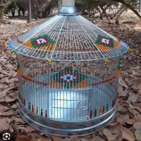 جوجه سهره خاکی لار