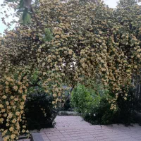 فروش یک باب منزل مسکونی در بزنجان     کرمان