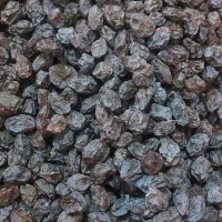 مویز بش دشمن زیاری|خوردنی و آشامیدنی|شیراز, میانرود|دیوار