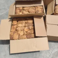 برگ زرد و قرمز