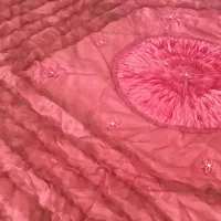 روتختی حرید