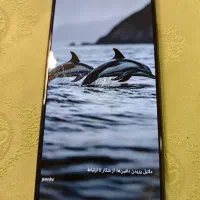 نوت ۱۲