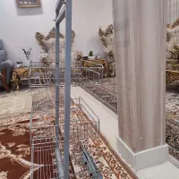 قفس ریلی کابینت