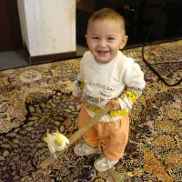 عروس هالندی|پرنده|تهران, هلال احمر|دیوار