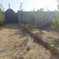 باغچه در کوشک زر