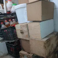 فروش لانه عروس هلندی