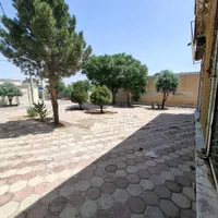 فروش مغازه ۴۵ متری /خیابان دانش آموز|فروش مغازه و غرفه|گلبهار, شهر جدید گلبهار|دیوار