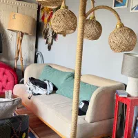 آباژور۵ شاخه کنفی تعداد و تک