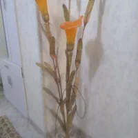 چراغ خواب|چراغ خواب و آباژور|کرج, خرمدشت|دیوار