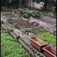 استخدام سرایداری