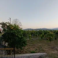 باغ پرتقال|فروش زمین و ملک کلنگی|باقرشهر, |دیوار