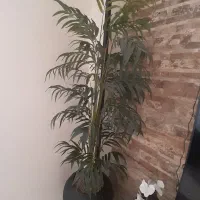 درختچه بلند مصنوعی وارداتی خارجی با گلدان|گل مصنوعی|تهران, مجیدیه|دیوار