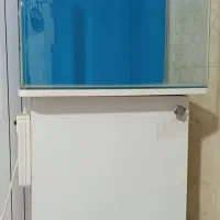 آکواریوم شیشه خم با تمام وسایل
