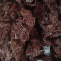 پنبه قرمز