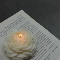 فروش شمع|صنایع دستی و سایر لوازم تزئینی|مشهد, مصلی (کارمندان اول)|دیوار