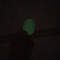 سنگ گوهر شب نما