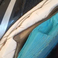 کتونی اصلی اورجینال ساکونی