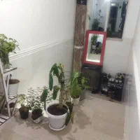 رهن کامل یا 50با 4|اجارهٔ آپارتمان|شیراز, ماه فیروزان|دیوار