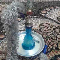 قلیون