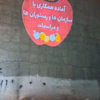 لیزر دیواری  ثابت چرخشی( لوگو پروژکتور)|لامپ و چراغ|تهران, خزانه|دیوار