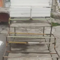 قفسه و خون میوه ۳عدد