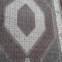 فوری|فرش|سنندج, |دیوار