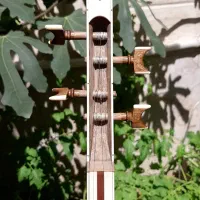 سه تارحرفه ای|سازهای سنتی|مشهد, مشکینی (شهرک غرب)|دیوار