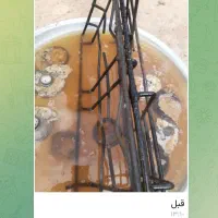 پودر معحزه|مواد شوینده و دستمال کاغذی|شاهرود, |دیوار