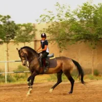 آموزش سوارکاری