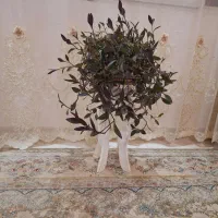 گل طبیعی|گل مصنوعی|نورآباد, |دیوار