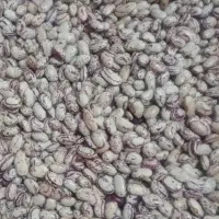 خوردنی و اشپزی