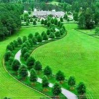 نیازمند باغبان