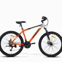 دوچرخه ویگو