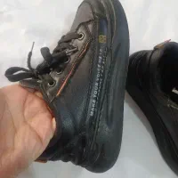 کفش اسپرت|کیف، کفش، کمربند|مشهد, طبرسی شمالی|دیوار