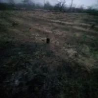 فروش فوری زمین مناسب سرمایه گذاری