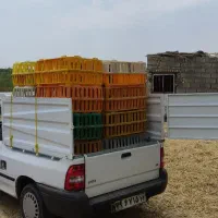 حمل مرغ زنده|خدمات حمل و نقل|مشهد, توس (بلوار توس)|دیوار