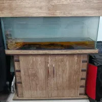 آکواریوم و کمد آکواریوم