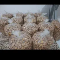 خرمای زرد عسلی طبس