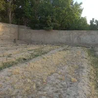 زمین-زراعی-در-محمد-شهر-برای-سرمایه-گذاری
