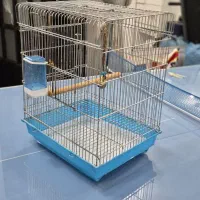 قفس عروس هلندی . طوطی برزیلی . مرغ عشق