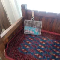 کالا|صنایع دستی و سایر لوازم تزئینی|شیراز, باغ تخت|دیوار