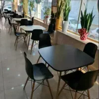 صندلی غذاخوری پلاستیکی  Ariyan کافه/ گلشهر کرج