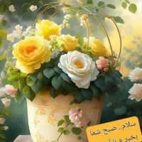 گمشده در محدوده اشکان