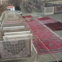 قالیشویی حسنی