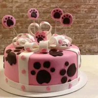 کیک و اسباب بازی جذاب برای حیوانات