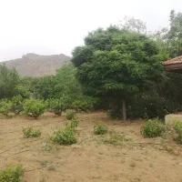 فروش باغ شهری بابهترین لوکیشن واقع در کلستان|فروش زمین و ملک کلنگی|شیراز, گلستان|دیوار