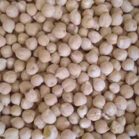 قصب جهرم حبوبات|خوردنی و آشامیدنی|شیراز, شهرک مدرس|دیوار