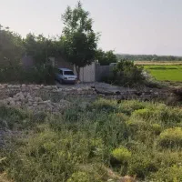 فروش زمین / خانه باغ