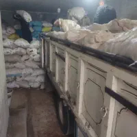 کارگر سیب زمینی