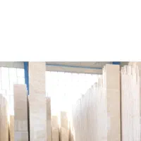 انواع سنگ نما نما سنگ ۲۴ تا ۳۶ ماهه|مصالح و تجهیزات ساختمان|سیرجان, |دیوار